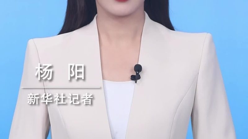 实时数据湖方案：核心要素与对比解析